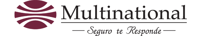 multinational logofinal